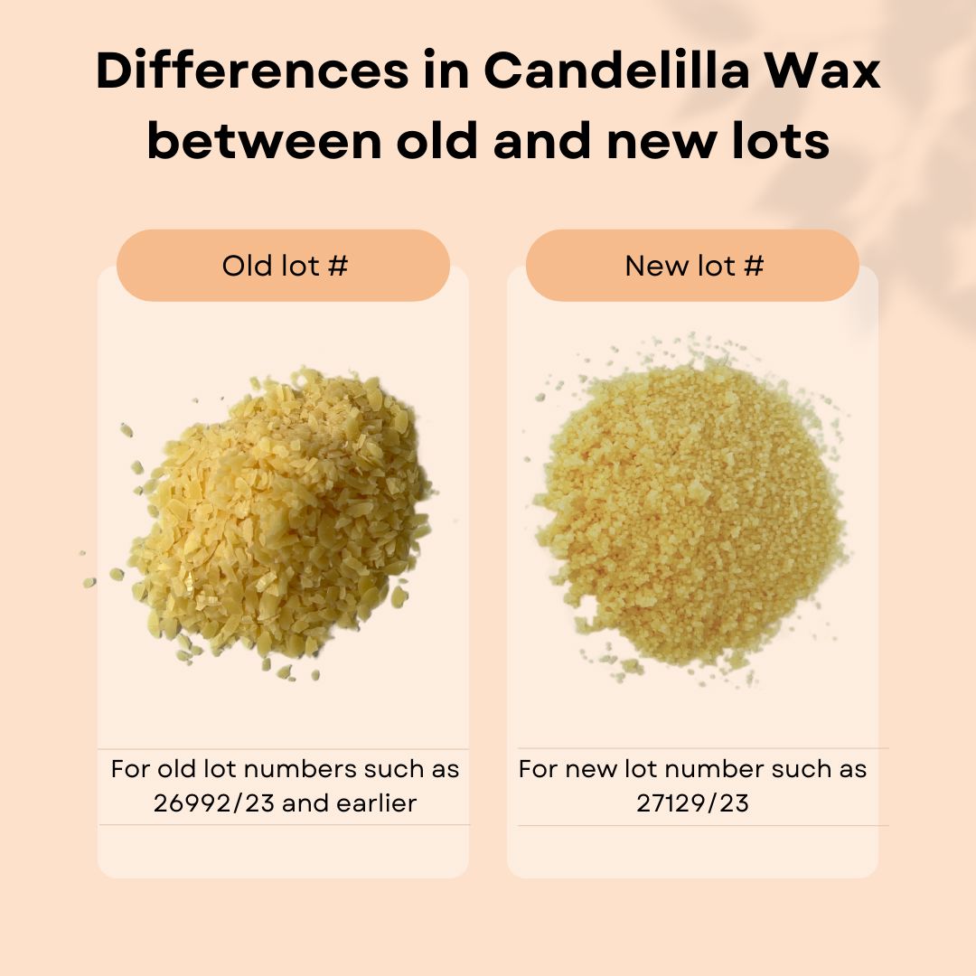 Candelilla Wax